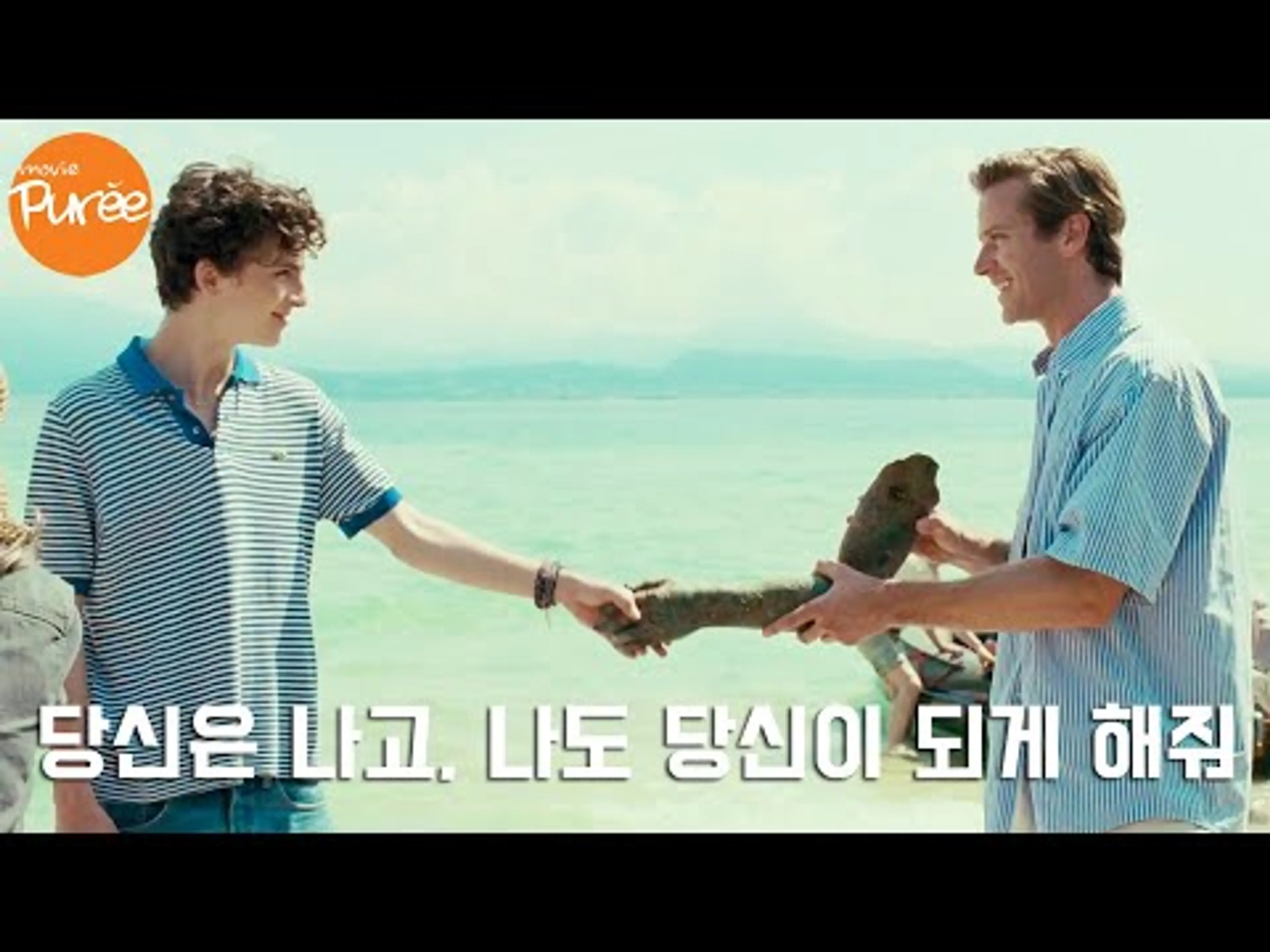 🍑콜바넴, 이 영상 하나면 끝! [ 콜 미 바이 유어 네임 비하인드 ] 총정리