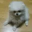 @행복을주는사람-j9j