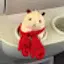 @뚱쭝햄-0710