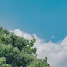 갬갱 gamgang