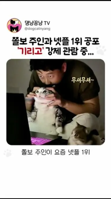 겁쟁이 집사랑 넷플릭스 1위 기리고 강제 관람 중.. 이럴꺼면 그냥 포켓몬이나 봐라! #고양이쇼츠 #넷플릭스신작 #기리고 #넷플추천 #댕냥꽁냥tv 다시보기 쇼츠