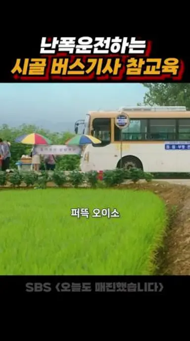 참교육은 이렇게 하는 기다!!!!!!!!! 다시보기 쇼츠