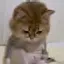 @nigo6881