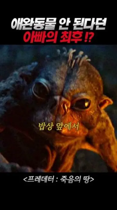 애완동물 절대 안 된다던 프레데터 덱, 하지만 귀여운 버드! 다시보기 쇼츠
