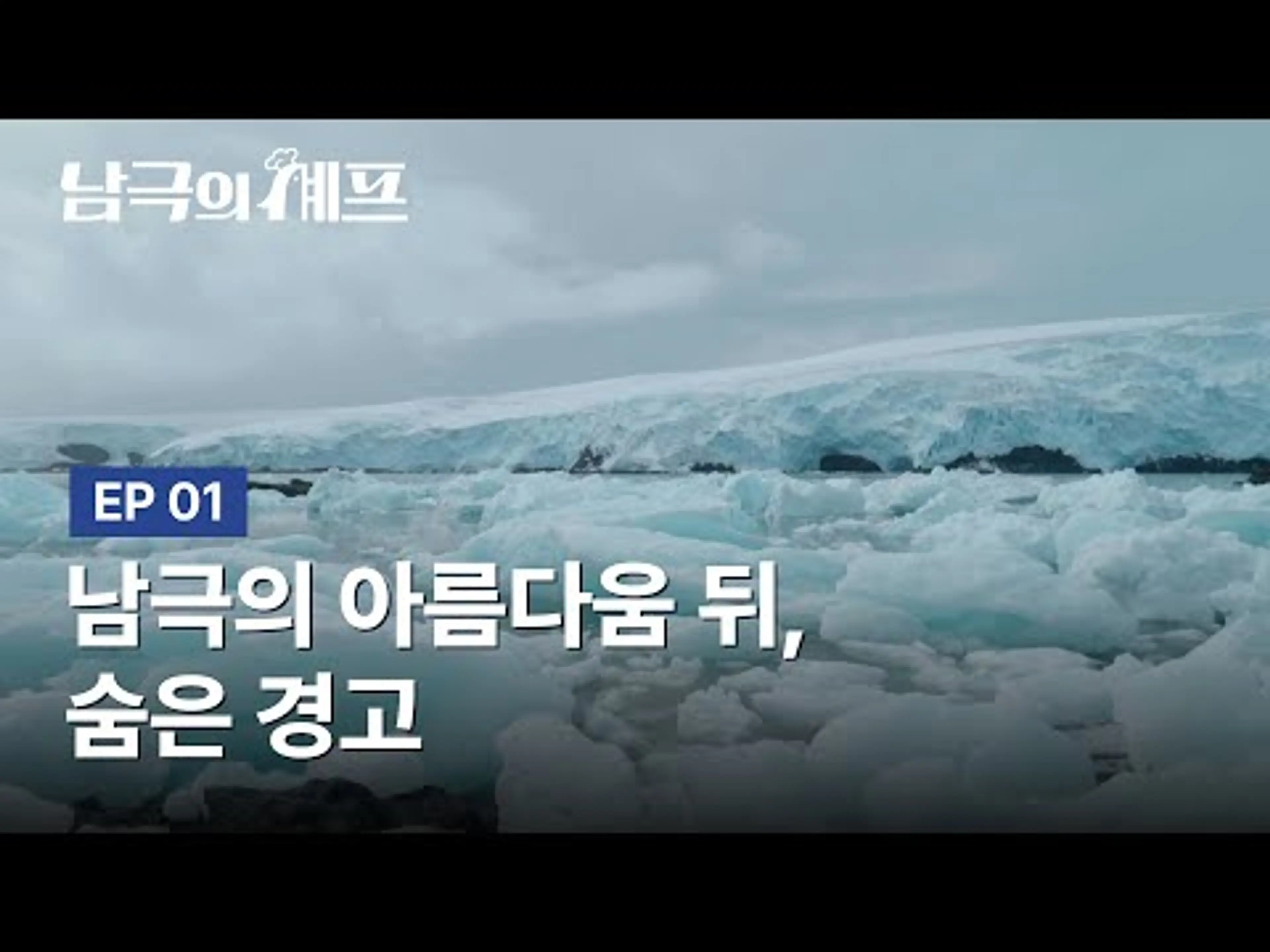 ⚠남극의 아름다움 뒤, 숨은 경고 #남극의셰프