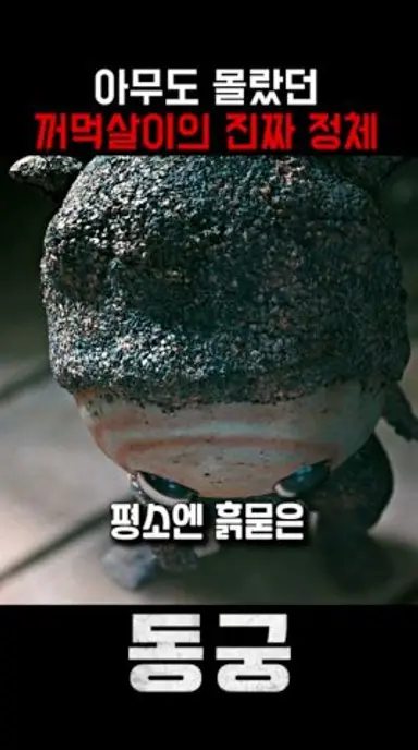 귀여운 이 녀석 "꺼먹살이"의 정체 #동궁 #넷플릭스 #드라마 #남주혁 #노윤서 #조승우 다시보기 쇼츠