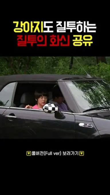 너 수컷이지! 강아지도 질투하는 공유 #shorts 다시보기 쇼츠