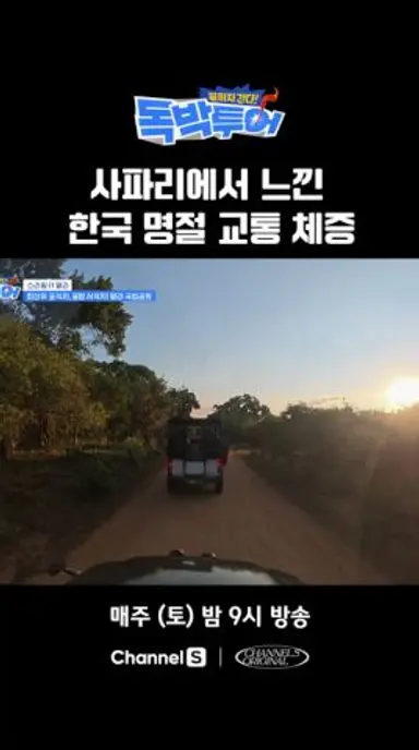 사파리에서 느끼는 명절 교통 체증..? #끝까지간다독박투어 #채널S 다시보기 쇼츠