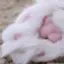 @user-lz8qc5hs7n