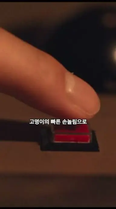 '혁명적인' 환영인사 #굿뉴스 다시보기 쇼츠