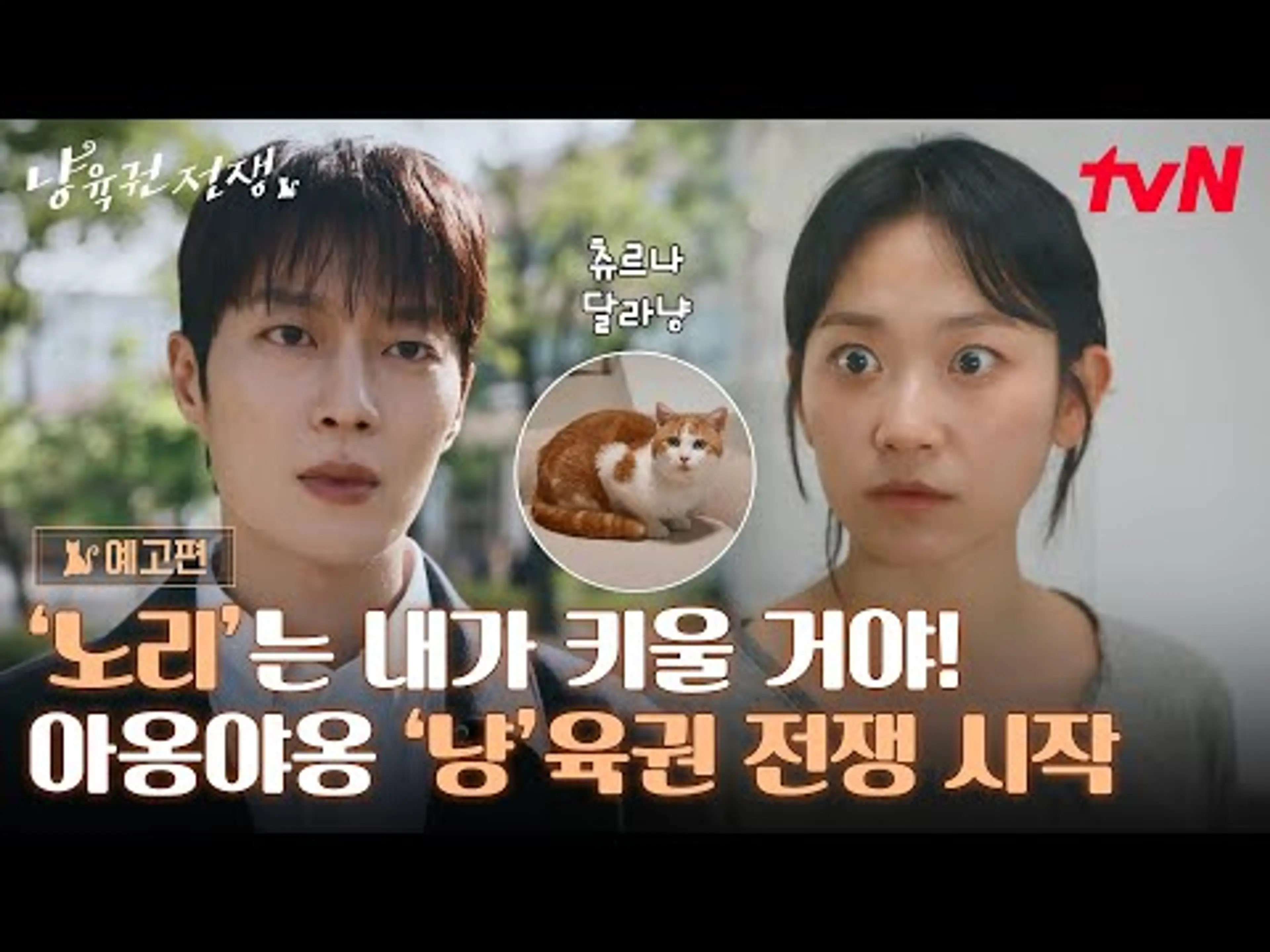 [예고] 윤두준X김슬기, 퐁당퐁당 부부의 냥육권 전쟁이 시작된다 😾💥#오프닝2025