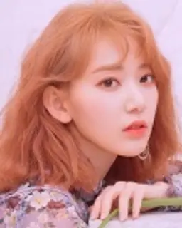 미야와키 사쿠라