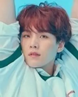 슈가