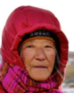 이춘숙