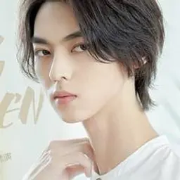 진립안