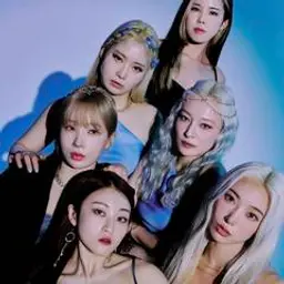 마네퀸