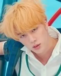 진
