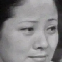 홍세미