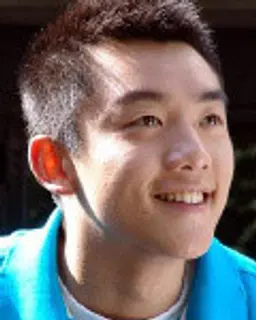 정개