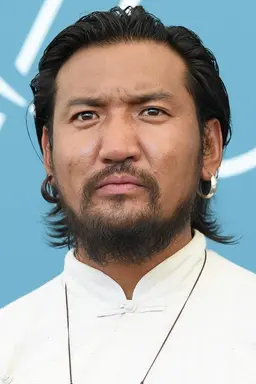 진파
