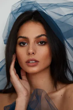 파르디스 사레미