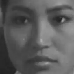 하지진