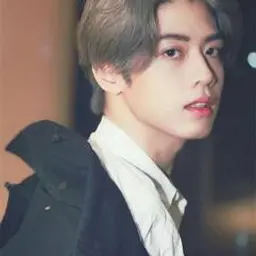 친 쯔모