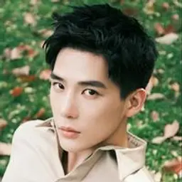 왕안위