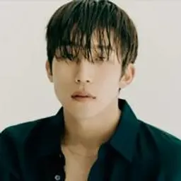 이상이