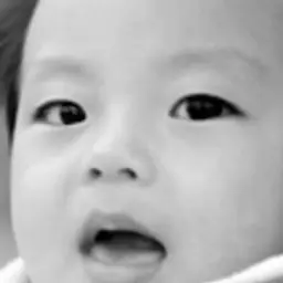 조세현