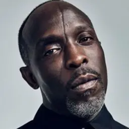 마이클 K. 윌리엄스