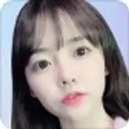 임선비