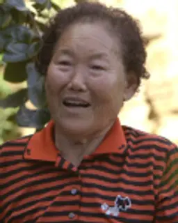 박복형