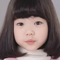 힘마와리 타지리