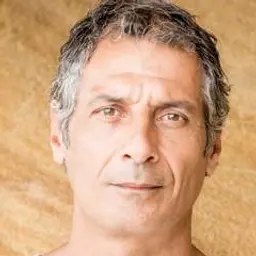 해리 파브리디스