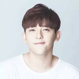 부룡비