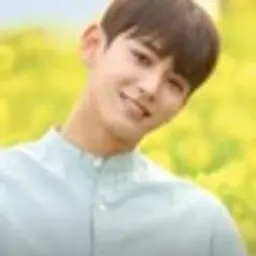 세용