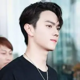 쉬카이