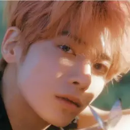 태현