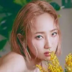 핫펠트