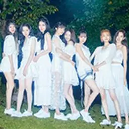 위키미키