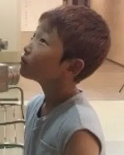 조왕별