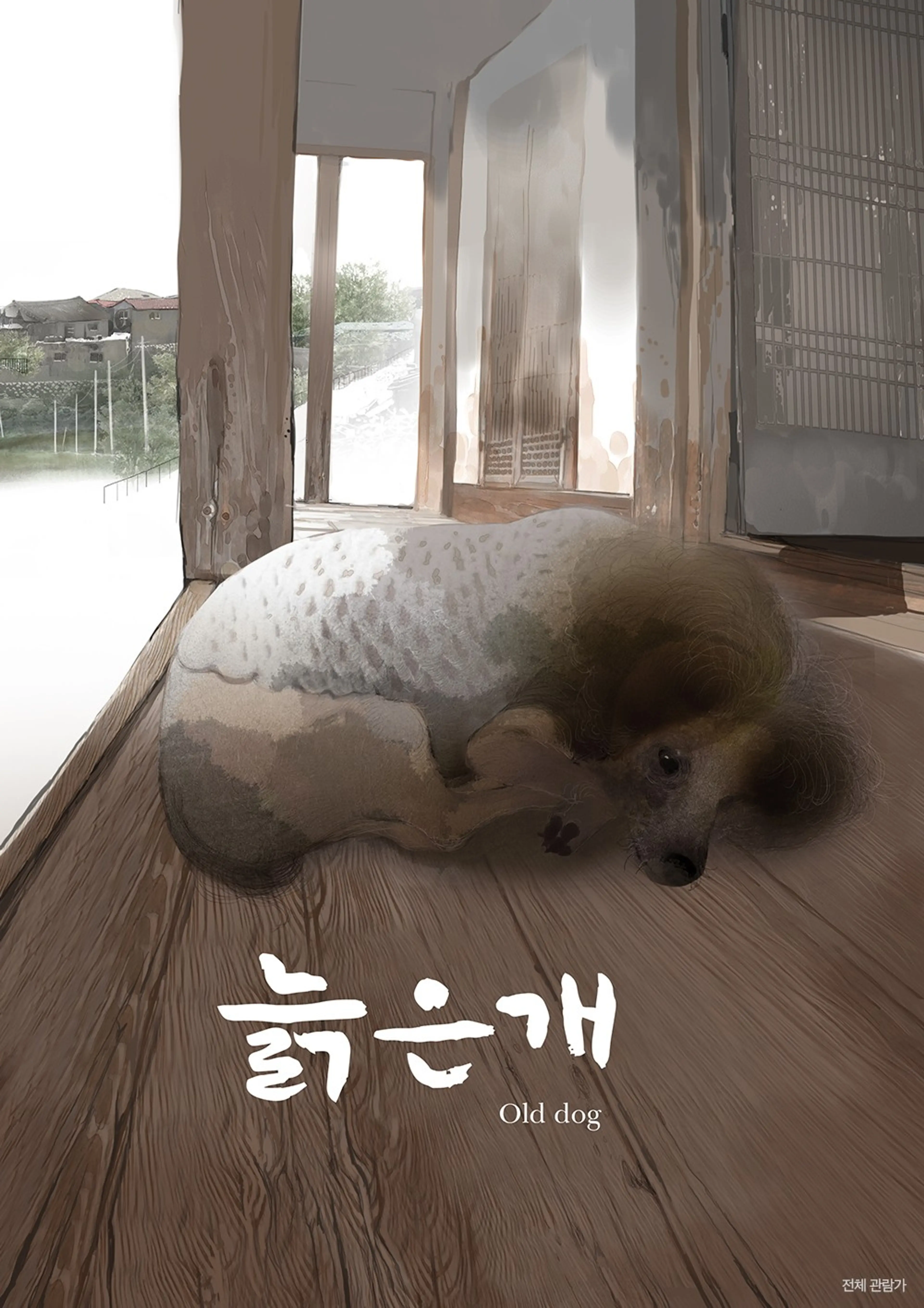 늙은개
