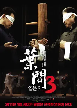 엽문 3