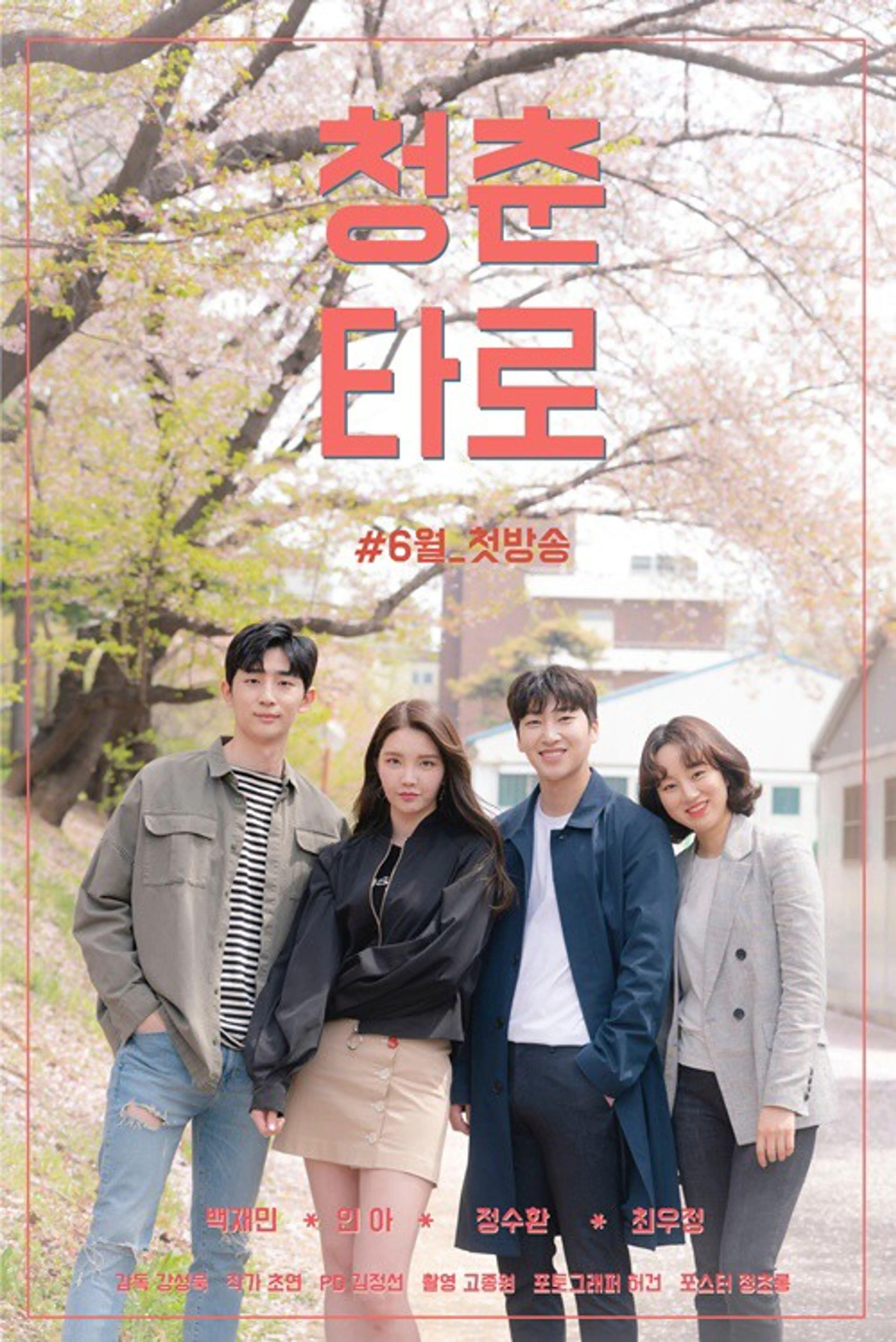 청춘타로