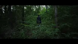 장롱 안 호랑이