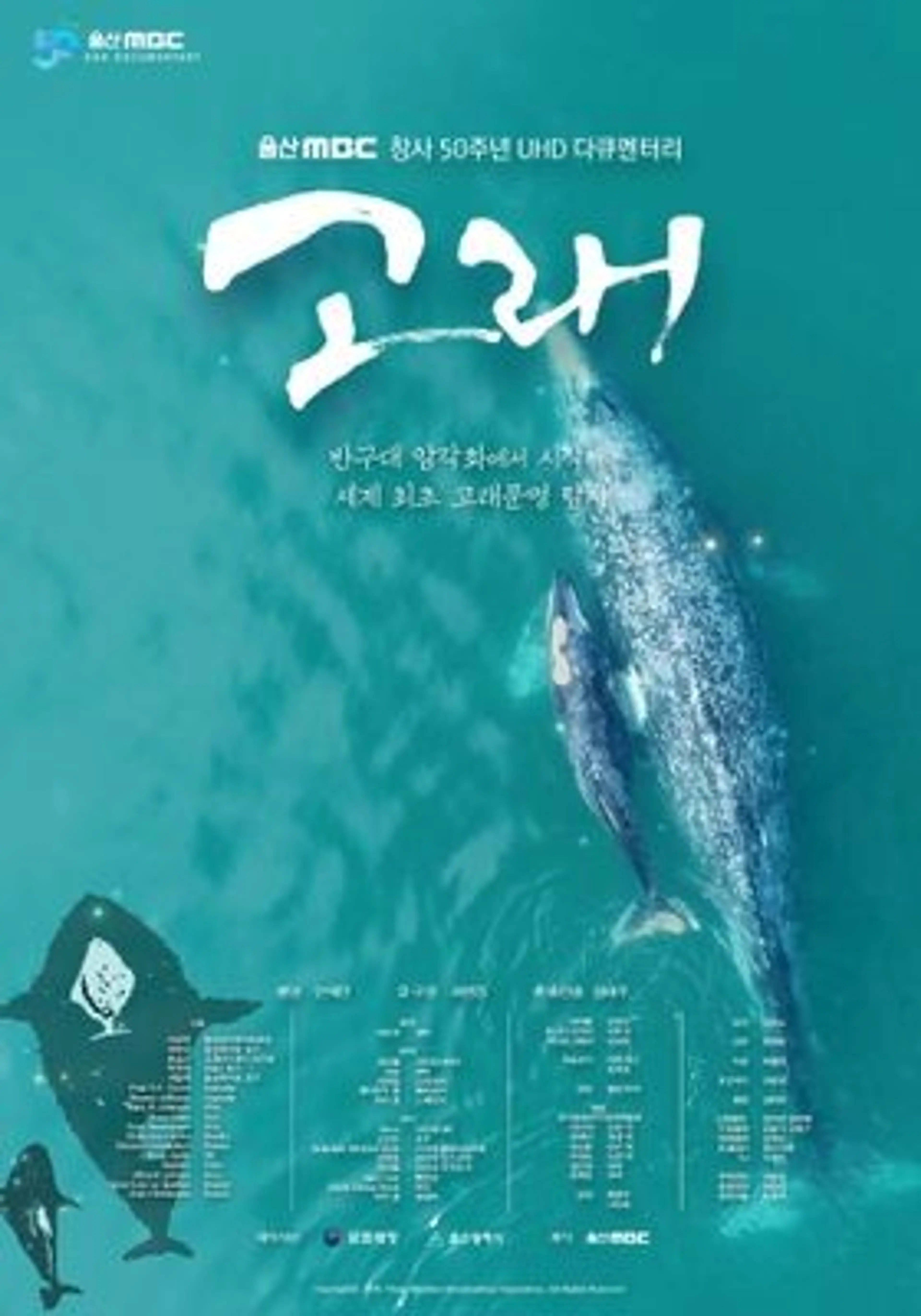 고래