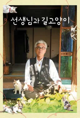 선생님과 길고양이