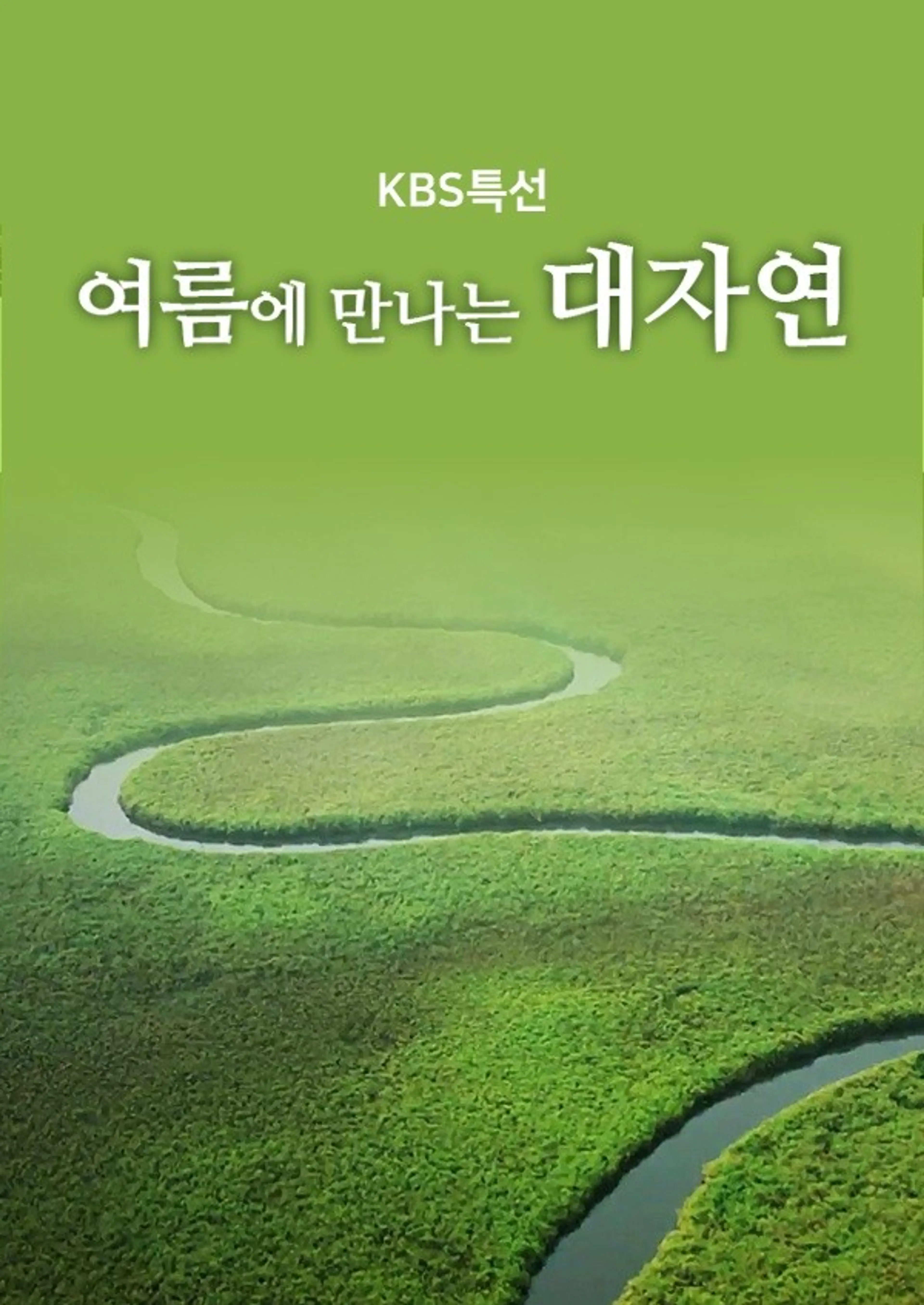 KBS특선 여름에 만나는 대자연