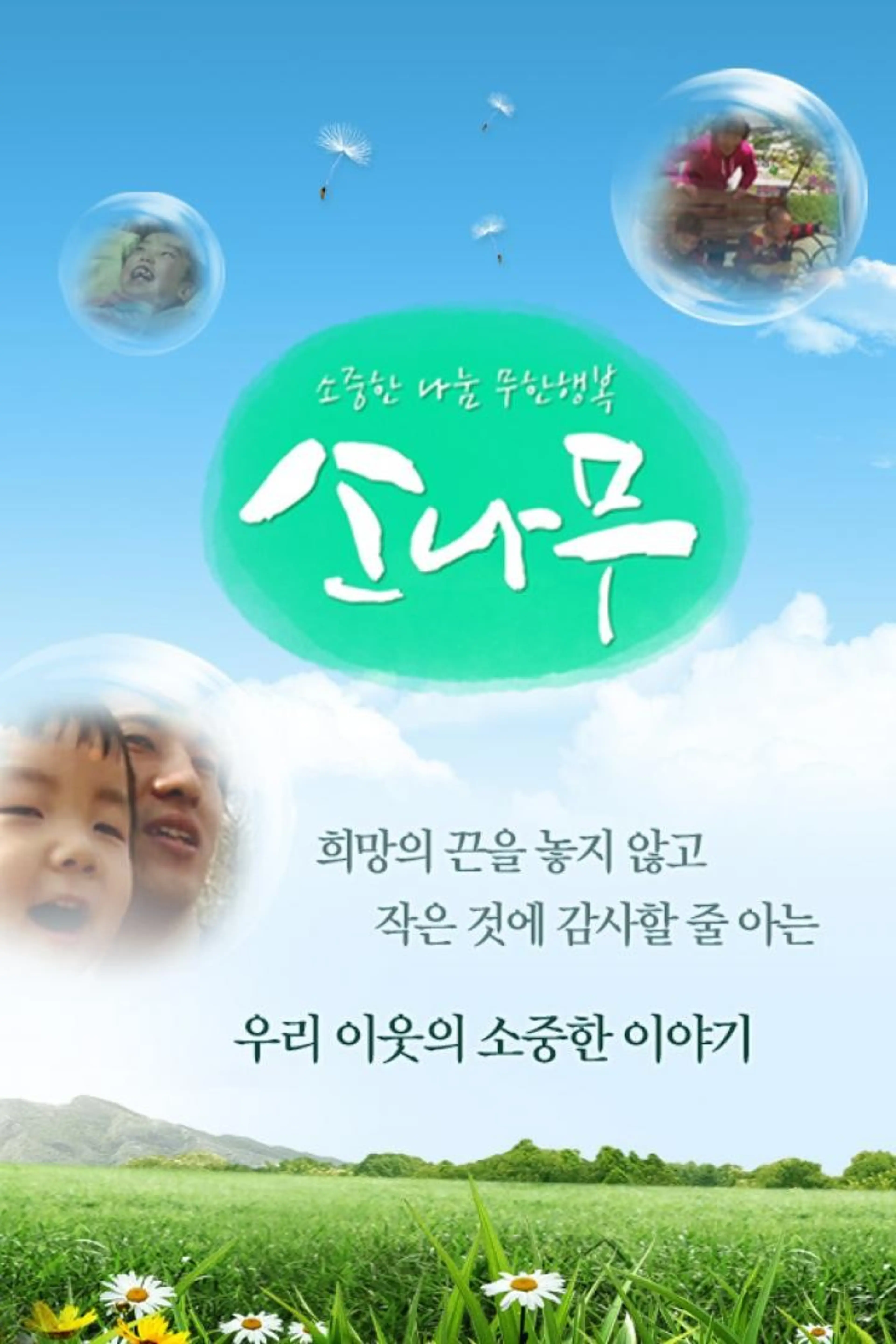 소나무